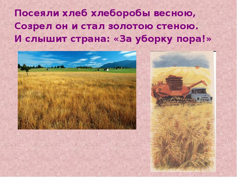 откуда хлеб пришел для дошкольников. словарная работа хлебороб. памятники первым хлеборобам фото. хлеборобы это для детей. финансовый кроссворд для детей.