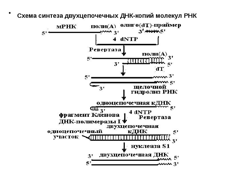 Схема синтез это