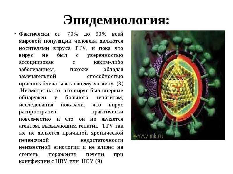 Ttv. Представители какого семейства являются переносчиками вирусных заболеваний. Иксодовые клещи переносчики инфекции. Иксодовые клещи общая характеристика. Ttv.