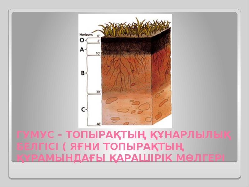 Презентация на тему гумус