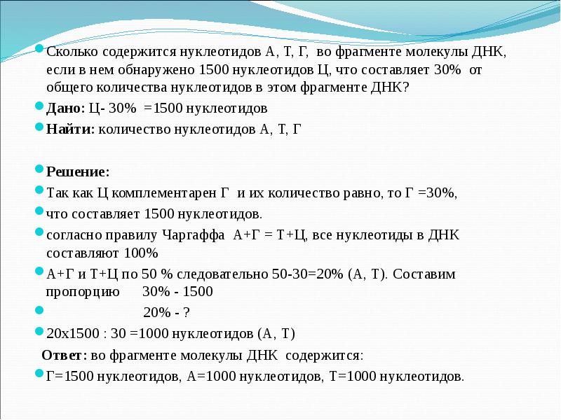 В молекуле днк количество нуклеотидов. Число нуклеотидов в молекуле ДНК. Общее количество нуклеотидов в молекуле ДНК. Как определить количество нуклеотидов. Как найти количество нуклеотидов в ДНК.