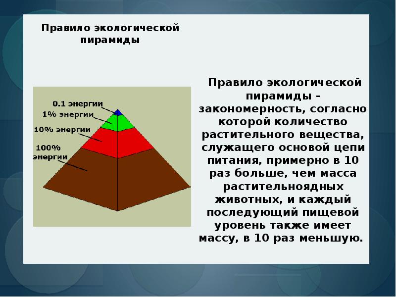 Пирамиды биология 11 класс. Правило экологической пирамиды. Правило пирамиды энергии. Экологическая пирамида. Закономерность экологической пирамиды.