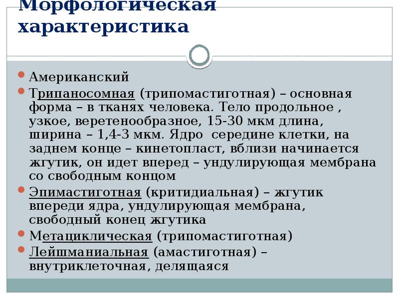 Характер ам. Медицинская паразитология. Паразитология презентация. Кинетопласт это в паразитологии. Каковы функции кинетопласта.