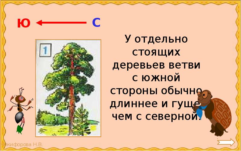 Отдельно стоит. У отдельно стоящего дерева ветви с Южной стороны гуще и длиннее. У отдельных деревьев ветви с Южной стороны. Отдельно стоящие деревья ветви с Южной стороны. Дерево с Южной стороны.