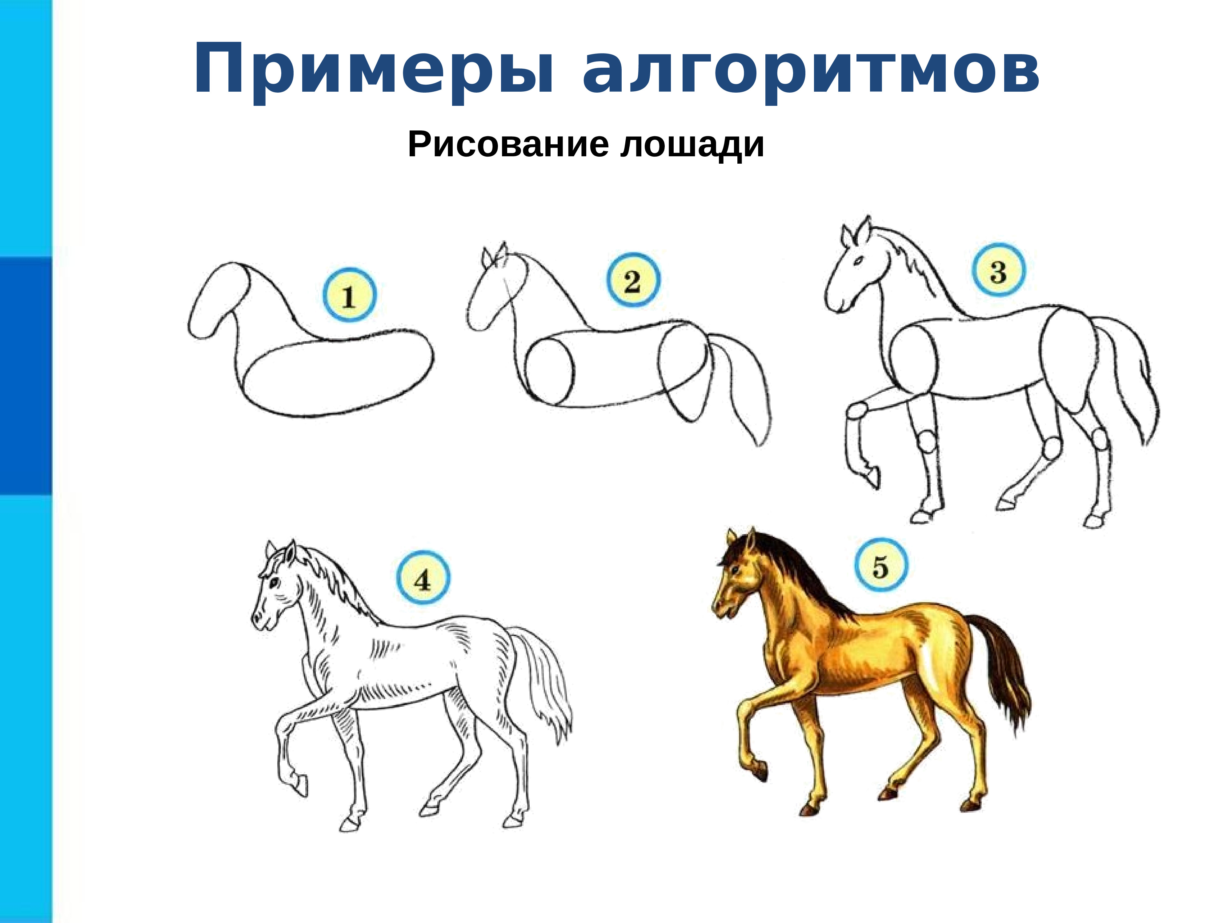 Конспект занятия лошадки