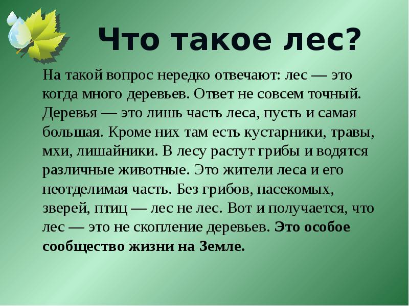 Что такое лес?