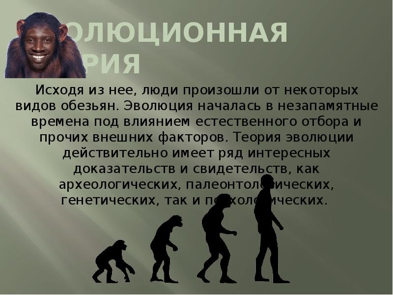 Приматы какое развитие. Эволюция обезьяны. Происхождение человека. Происхождение человека от обезьяны. Эволюция обезьян название.