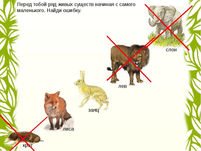 На лесную поляну вышел огромный лось план