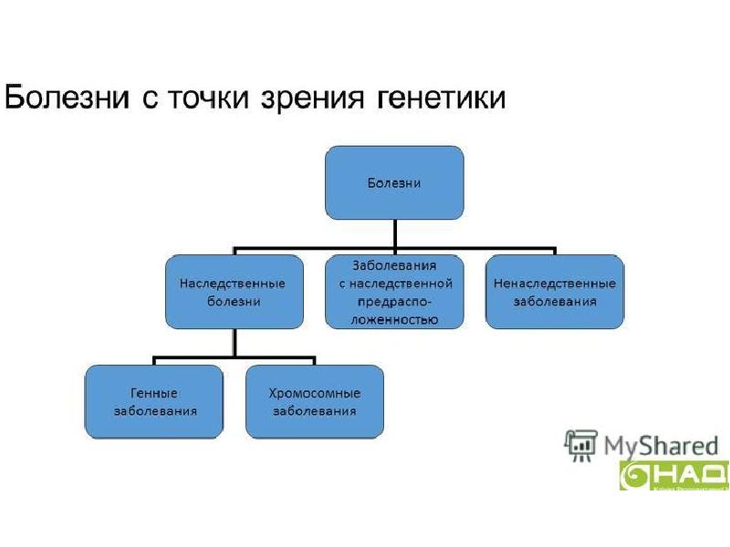 Презентация по биологии 8 класс наследственные и врожденные заболевания