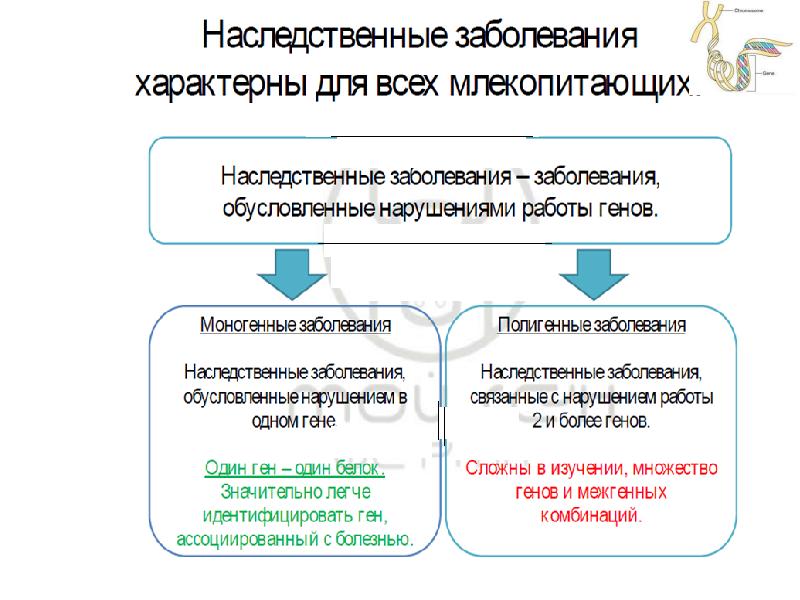 Наследственный фонд. Наследственный фонд презентация. Создание наследственного фонда. Наследственный фонд схема. Наследование аномалий.