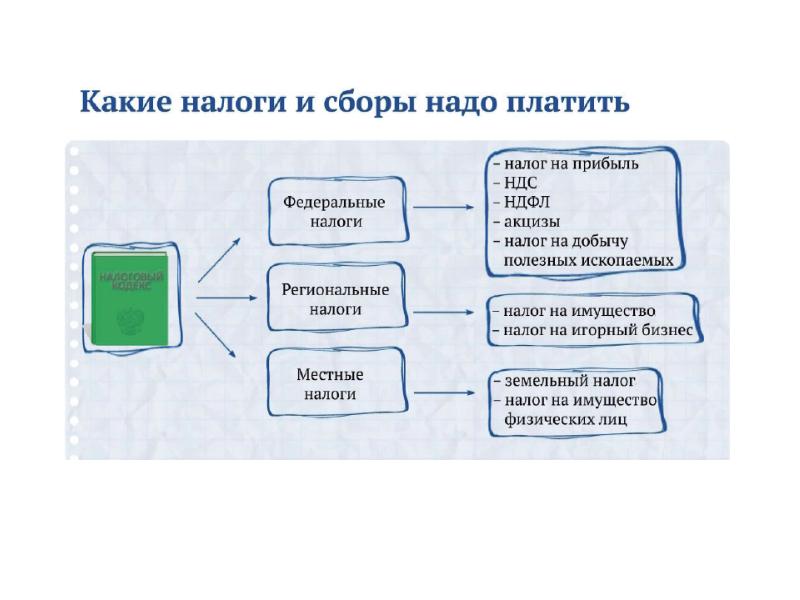 Презентация налоги 8 класс