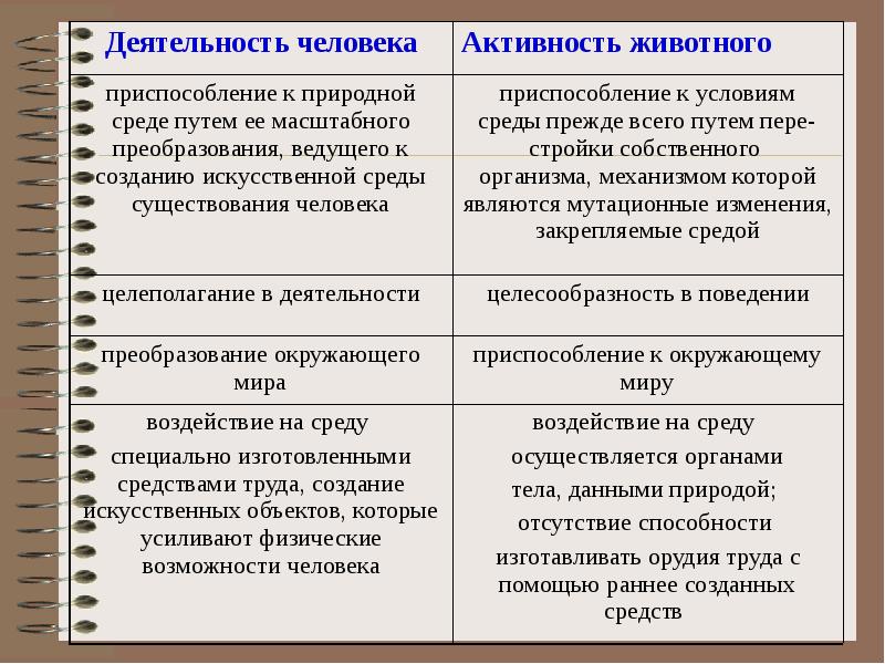 Деятельность двумя. Деятельность животных. Особенности деятельности человека и животных. Сопоставление деятельности животных и человека. Деятельность человека и активность животного таблица.