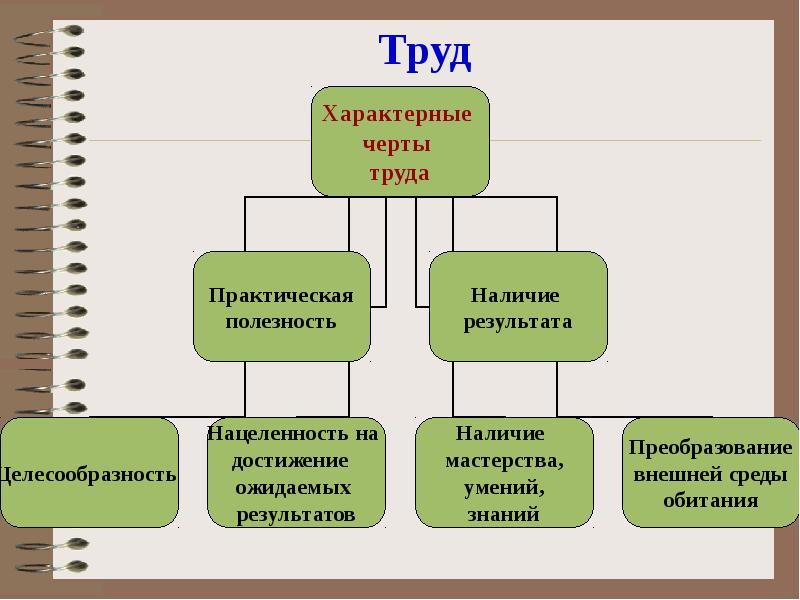 Схема деятельности человека 6 класс