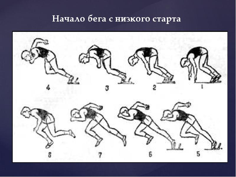 Техника бега на короткие дистанции картинки