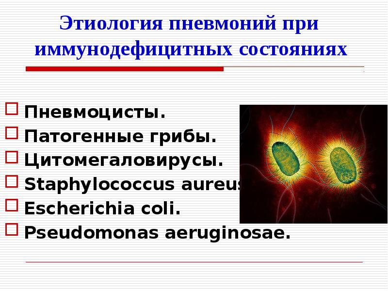 Биологические свойства пневмоцист