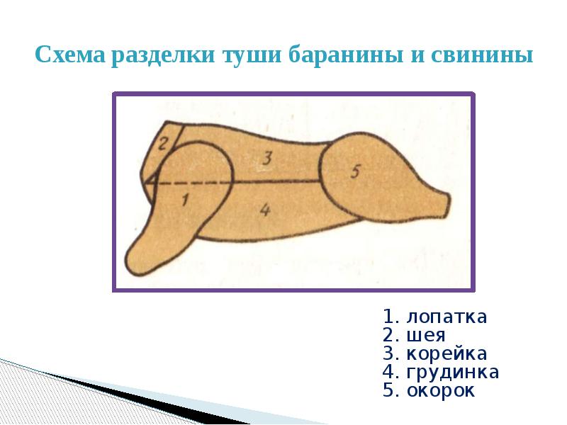 Схема разделки свиной туши. Схема разделки туши баранины. Классическая схема разруба бараньей туши. Кулинарный разруб бараньей туши. Разделка туши свинины и баранины.