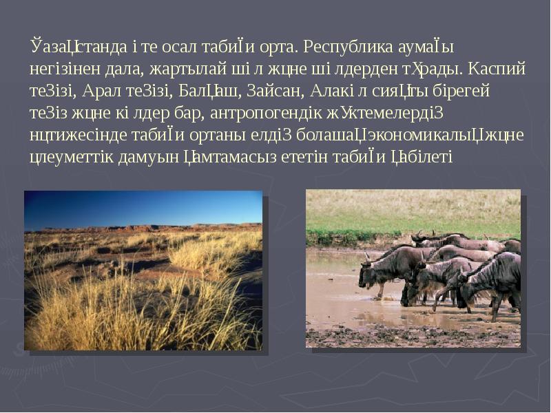 Қазақстанда өте осал табиғи орта. Республика аумағы негізінен дала, жартылай шөл Қазақстанда өте осал табиғи орта. Республика аумағы негізінен дала, жартылай шөл