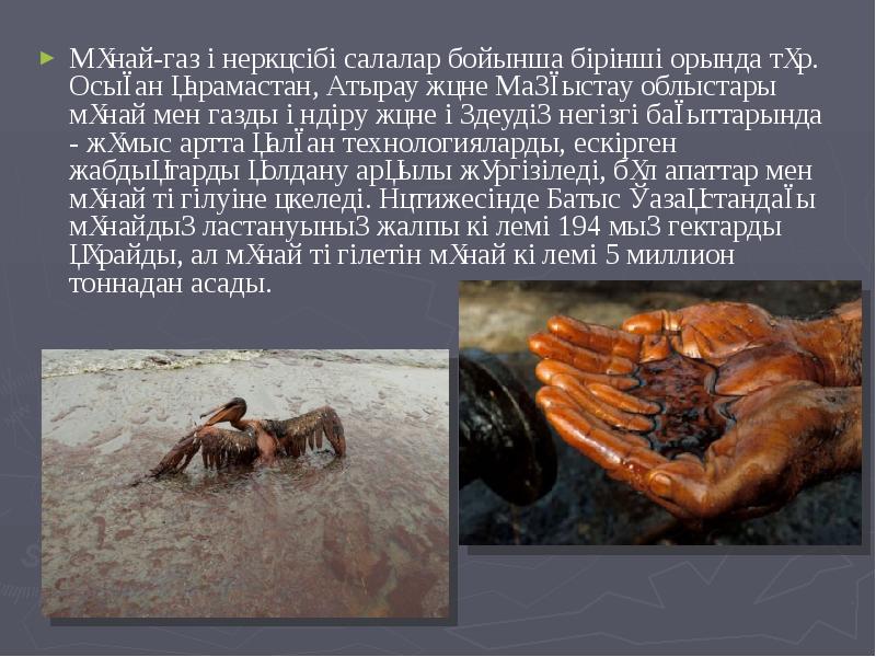 Мұнай-газ өнеркәсібі салалар бойынша бірінші орында тұр. Осыған қарамастан, Атырау және Мұнай-газ өнеркәсібі салалар бойынша бірінші орында тұр. Осыған қарамастан, Атырау және