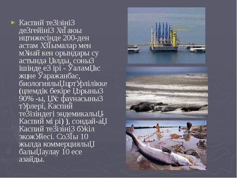 Каспий теңізінің деңгейінің ұлғаюы нәтижесінде 200-ден астам ұңғымалар мен мұнай кен Каспий теңізінің деңгейінің ұлғаюы нәтижесінде 200-ден астам ұңғымалар мен мұнай кен