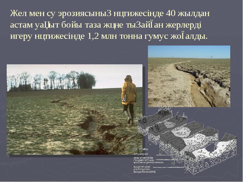 Жел мен су эрозиясының нәтижесінде 40 жылдан астам уақыт бойы таза Жел мен су эрозиясының нәтижесінде 40 жылдан астам уақыт бойы таза