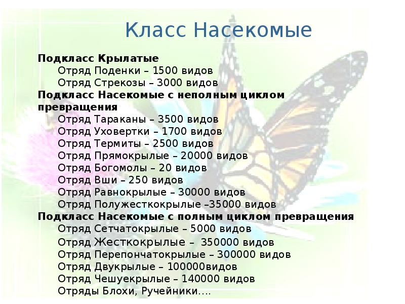 Классификация насекомых схема