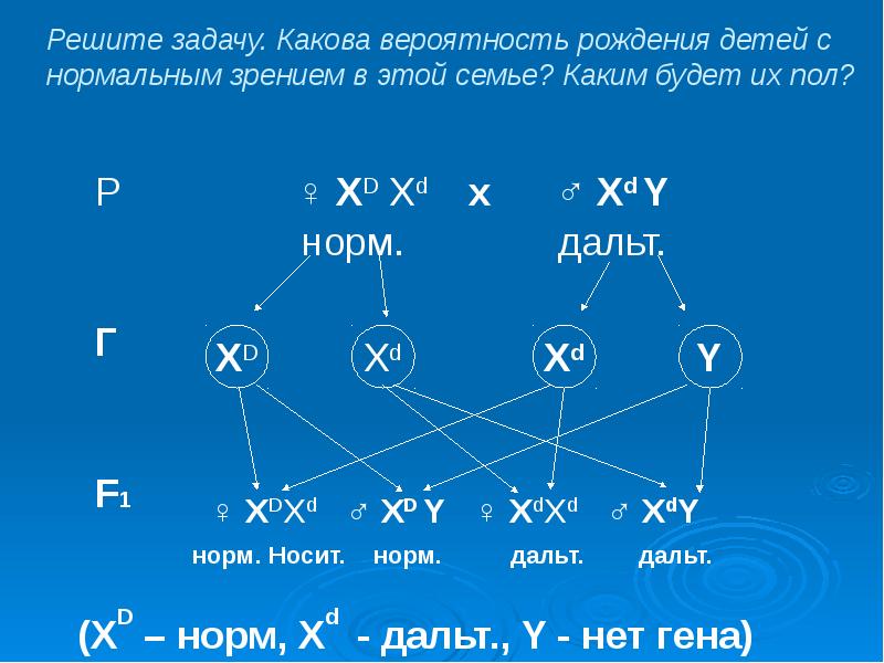 Генетическое поле. Решите задачу у родителей с нормальным зрением родился.