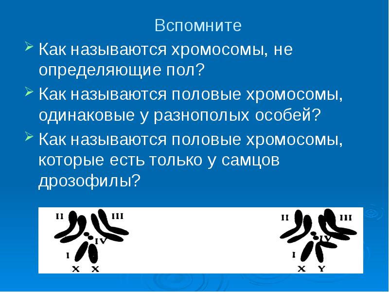 Хромосомы одинаковые у самцов и самок называются