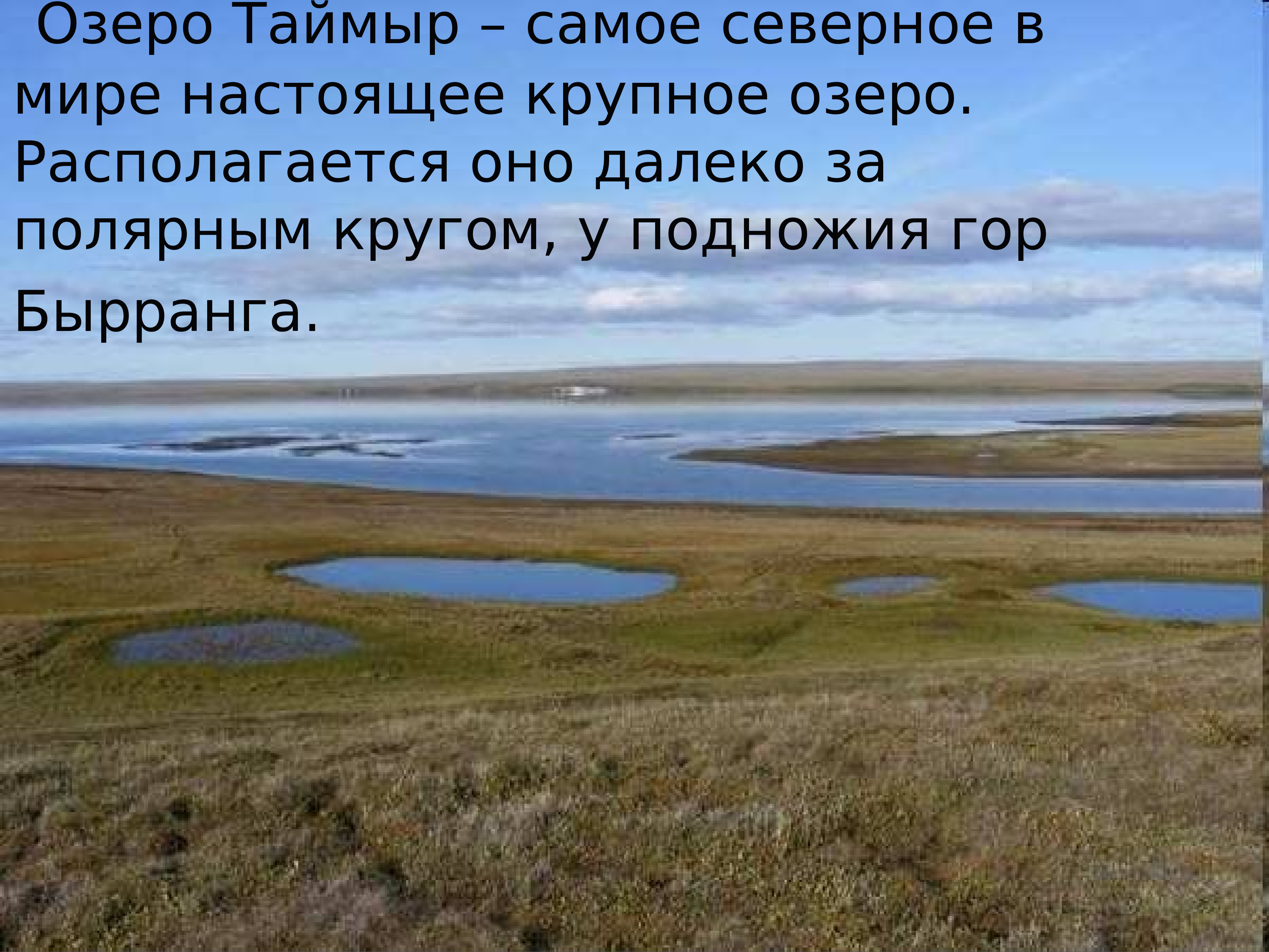 Крупнейшее озеро района россии. Озеро Таймыр тундра. Озеро Таймыр Восточная Сибирь. Тундры на полуострове Таймыр. Полуостров Таймыр озёра.