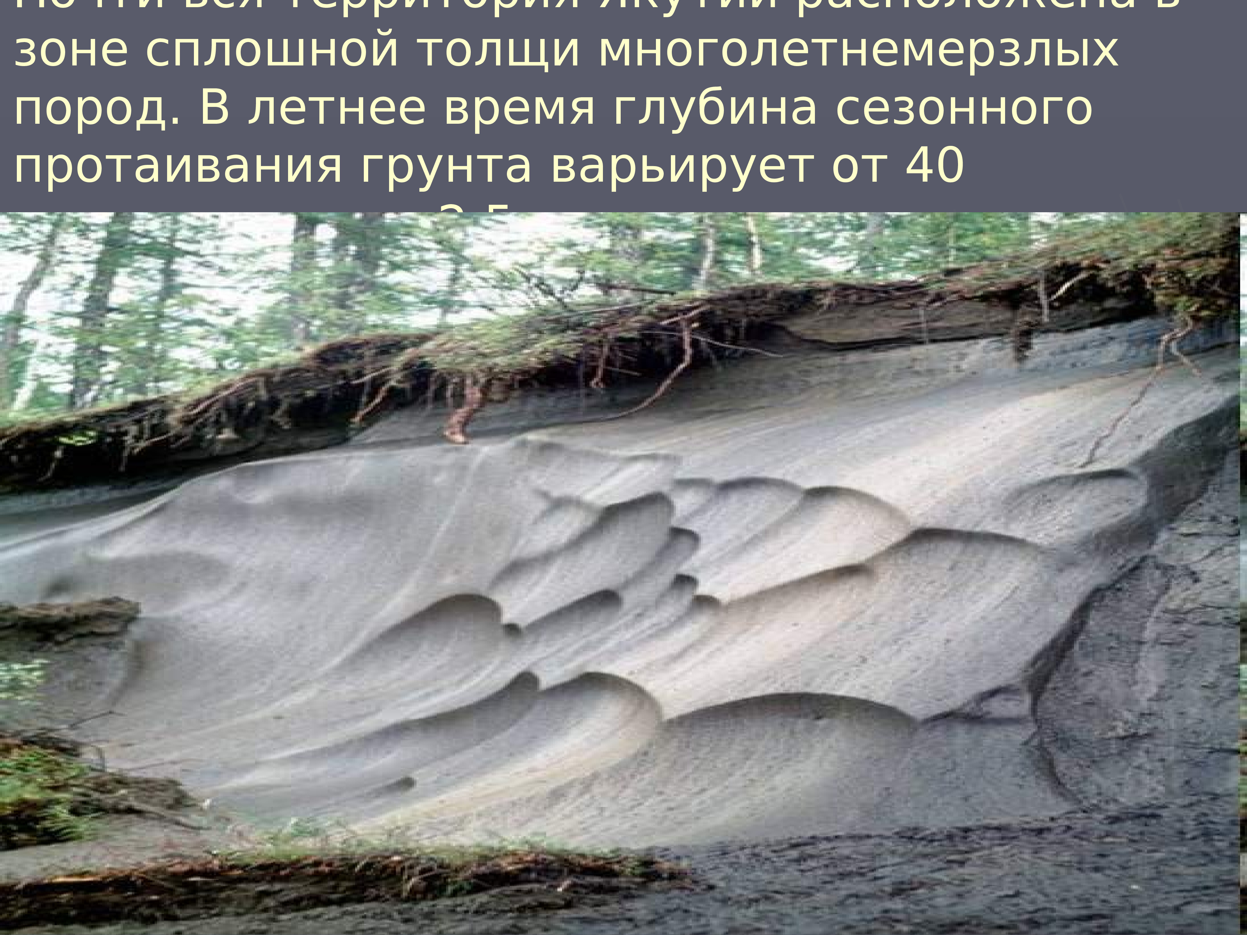 Толщи пород. Природные районы Восточной Сибири. Многолетнемерзлые толщи. Природные памятники Восточной Сибири презентация. Микроорганизмы в многолетнемерзлых породах.