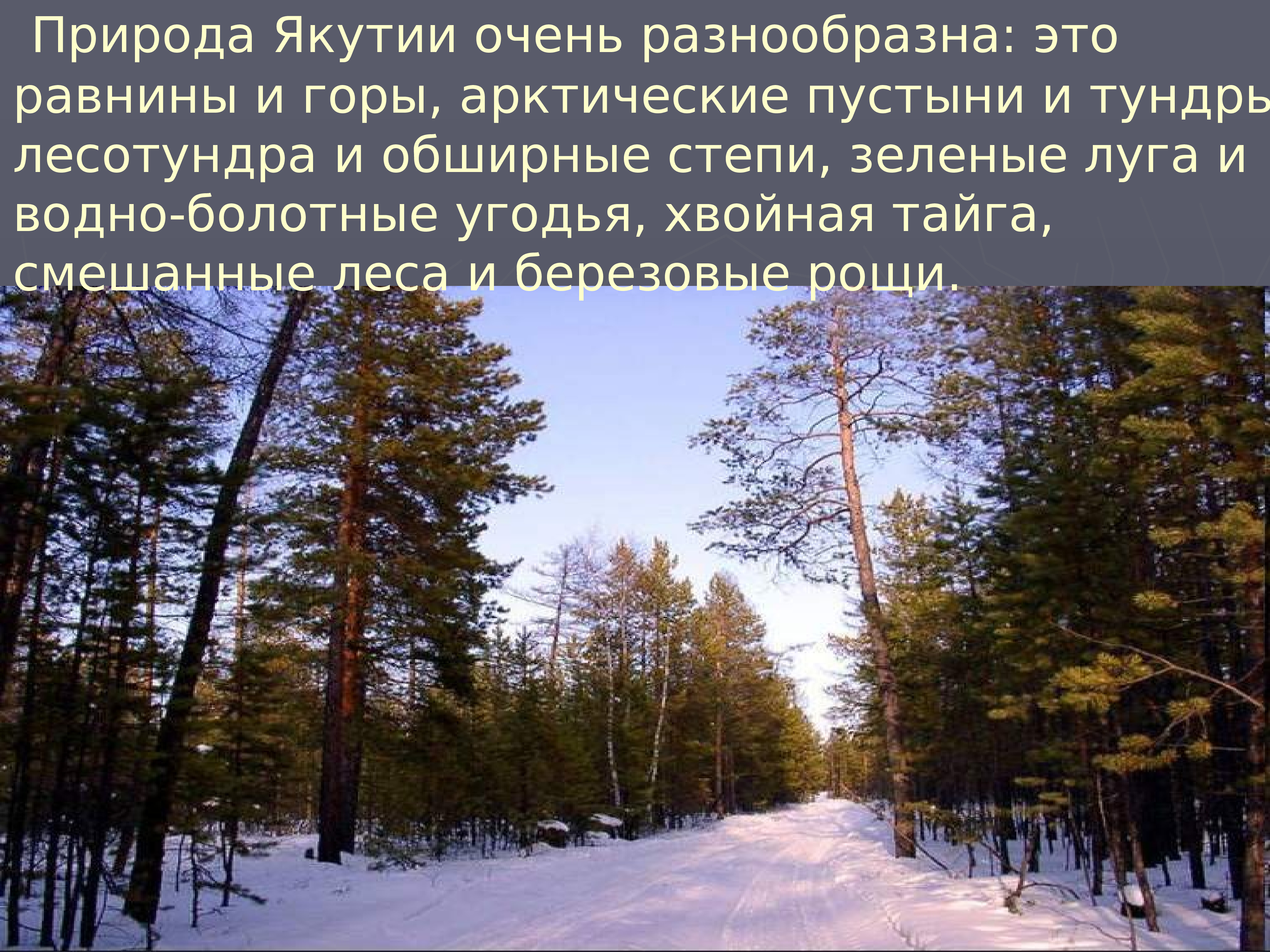 4 на якутском. Разнообразие природы Якутии. Природа Якутии презентация. Описание природы Якутии. Характеристика природы Якутии.