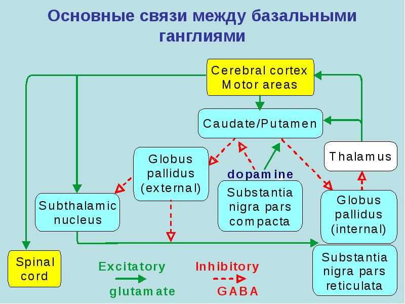 Цикл лекций. Фундаментальные связи.