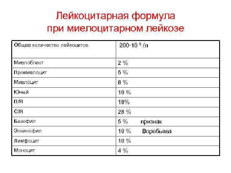 Признаки лейкоза в анализе. Лейкоциты при лейкозе у детей показатели. Анализ крови при лейкозе показатели. Какие показатели лейкоцитов при лейкозе у взрослых. Показатели тромбоцитов при лейкозе.