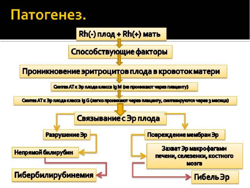 Гемолитическая болезнь плода презентация