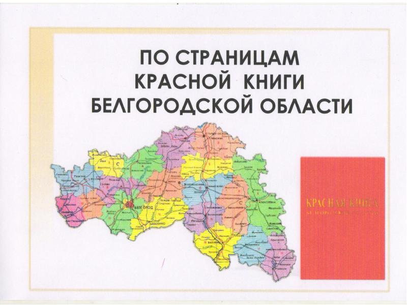 Эмоу белгородская область. Красная книга Белгородской области книга. Красная кни ,tkujhjlcrjq j,kfcnb. Красная книга Белгородской области обложка. Презентация красная книга Белгородской области.