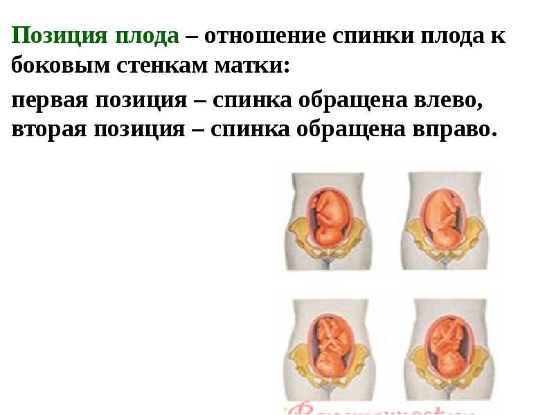 План субъективные и объективные методы обследования беременной женщины