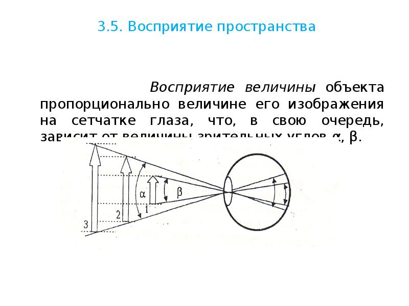 Восприятие величины картинки