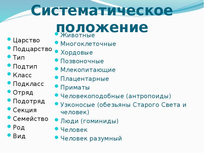 Царство Подцарство Тип Подтип класс. Тип Подтип класс подкласс отряд. Вид род семейство отряд класс Подтип. Семейство, род, отряд, класс, Тип, Подтип, царство.