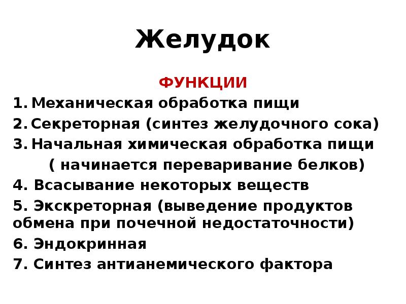 Функции желудка