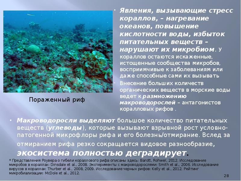 Проект загрязнение морей и океанов