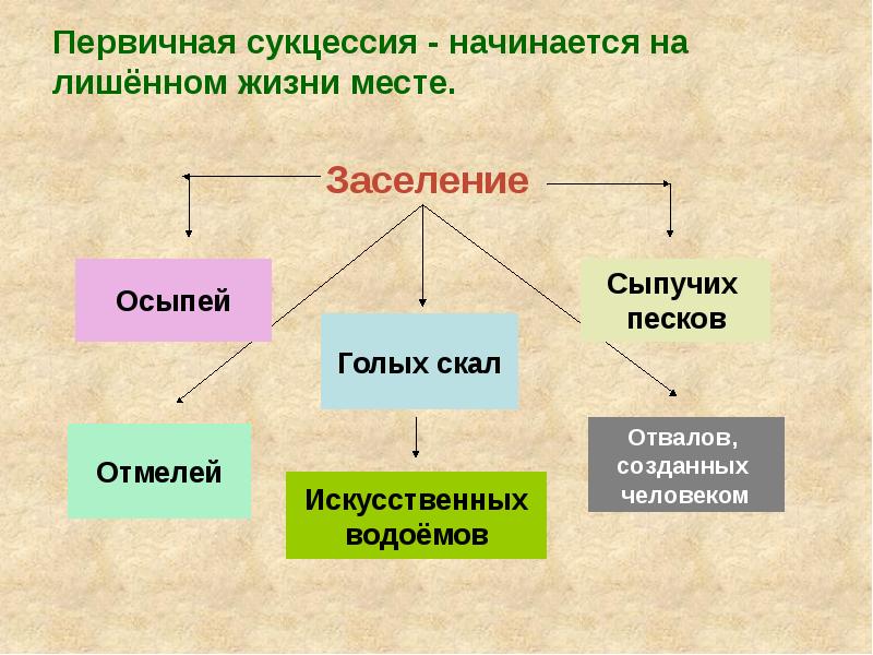 Саморазвитие экосистемы презентация