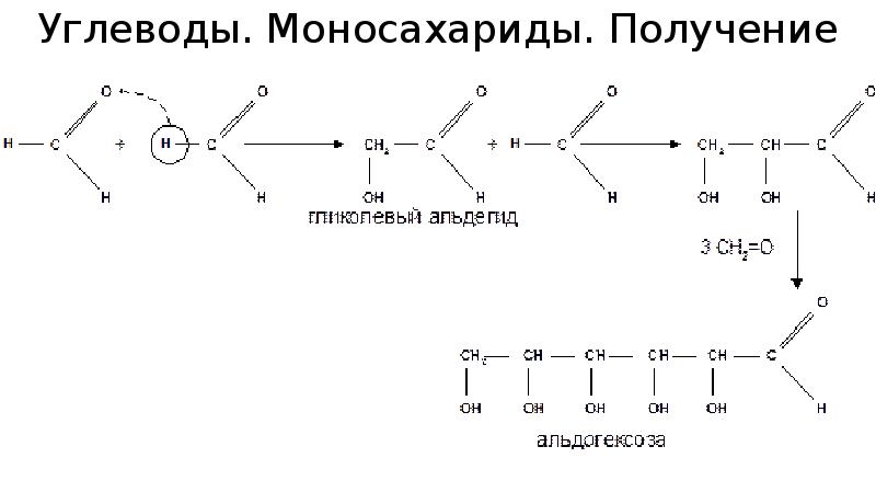 Углеводы моносахариды презентация 10 класс габриелян