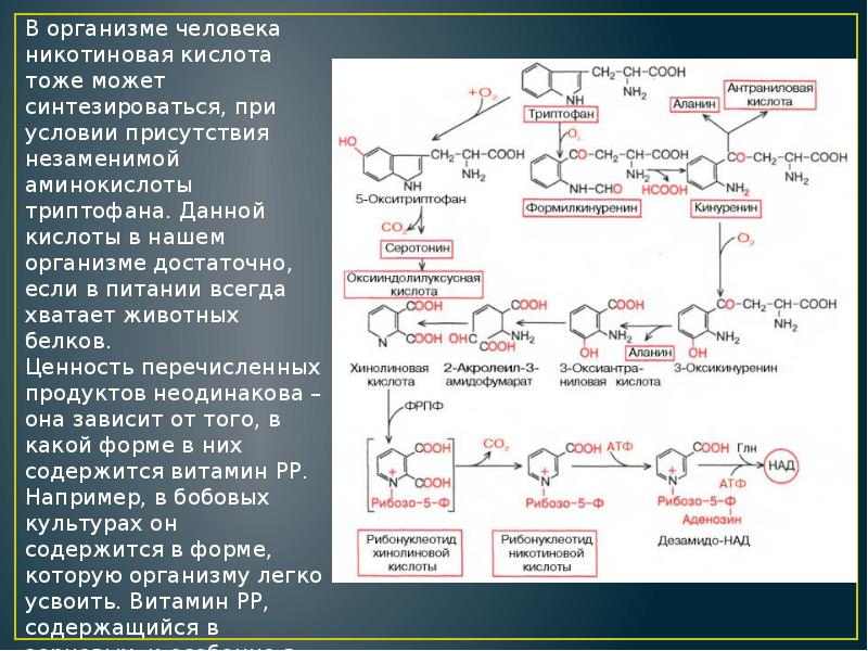 Витамины группы б презентация биохимия