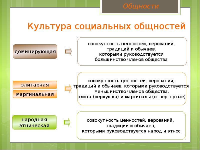 Культурная теория. Теория культуры. Что изучает теория культуры:. Основные понятия теории культуры. Основы теории культуры.