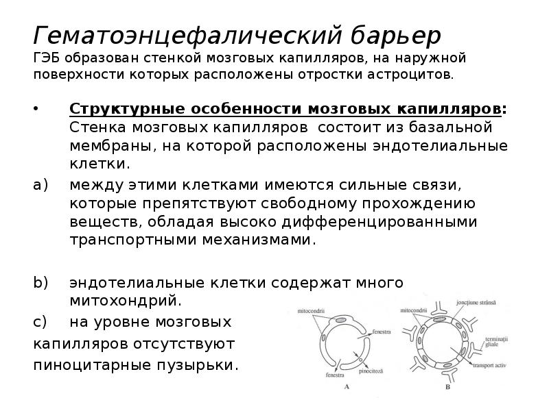 Гематоэнцефалический барьер презентация