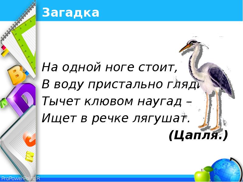 Загадка ножки. На ноге стоит одной загадка. Стоит на одной ножке загадка. Чёрное на одной ноге загадка. Загадка про ножку.