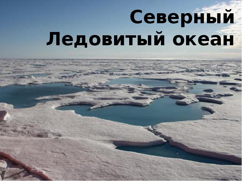 Единственный океан. Самый большой остров Северного Ледовитого океана. Северно Ледовитый океан соленый. Рекорды Северного Ледовитого океана. Ресурсы Северного Ледовитого океана.