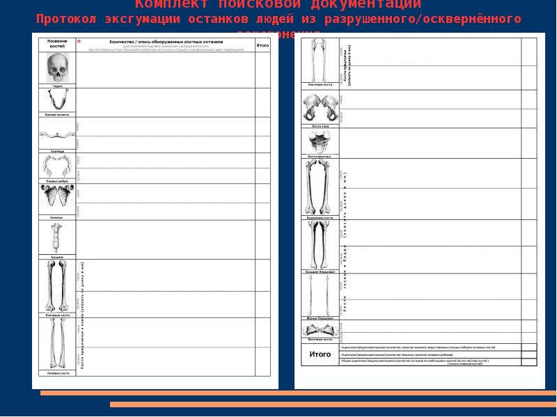 Протокол эксгумации образец для поисковых отрядов