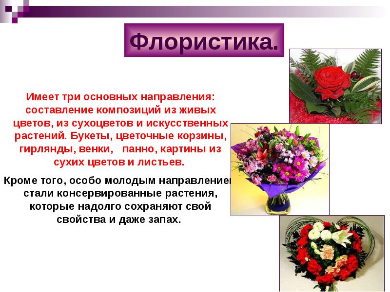 Флористика презентация 7 класс