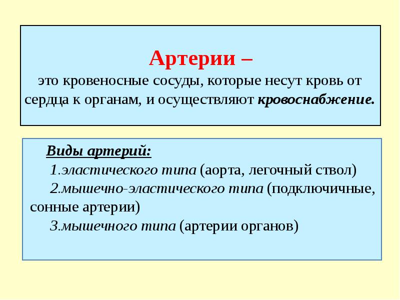 Артерии –  это кровеносные сосуды, которые несут кровь от сердца