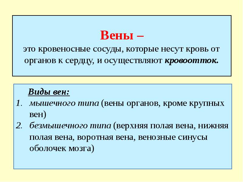 Вены –  это кровеносные сосуды, которые несут кровь от органов